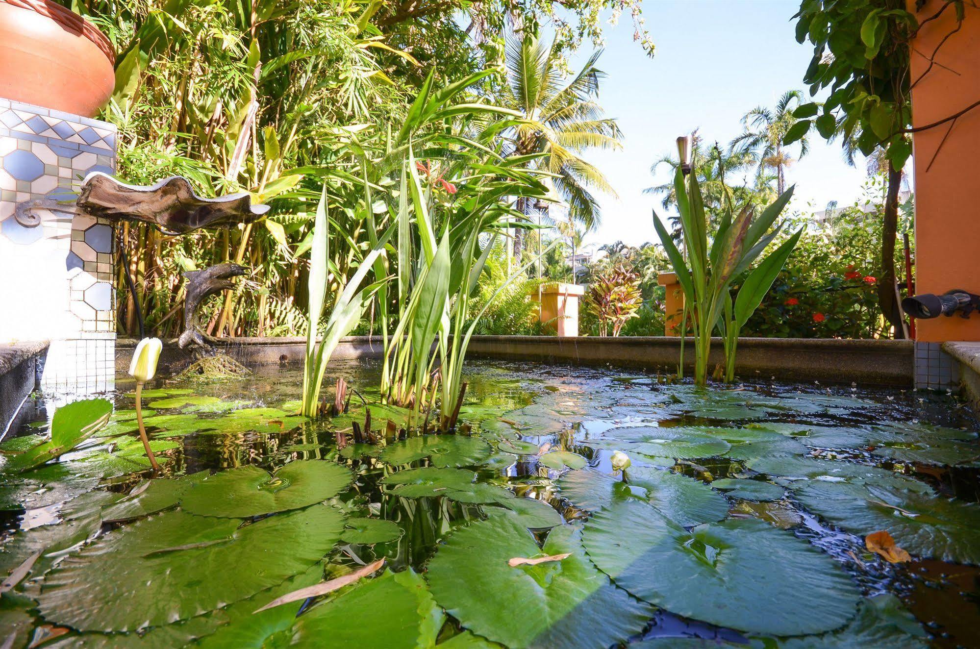 Martinique On Macrossan Apart otel Port Douglas Dış mekan fotoğraf